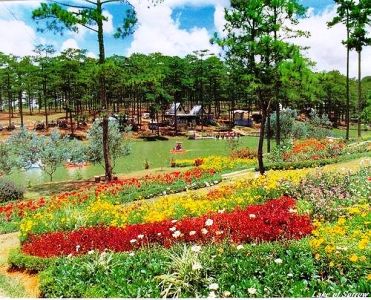 Da Lat, ville de festivals des fleurs du Vietnam